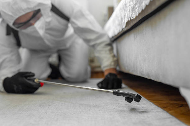 Professional Cockroach Control technician working in Aledo, IL