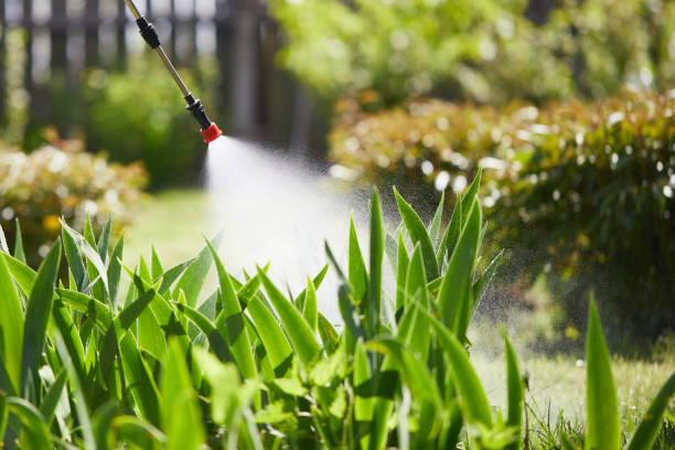 24/7 Emergency Cockroach Control experts in Aledo, IL