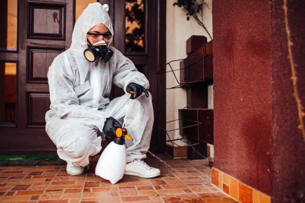 Reliable Cockroach Control contractor in Aledo, IL by Nex Pest Control